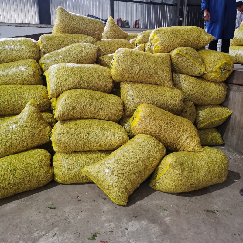云南精品七彩花生，纯手工挑选。质量求生存