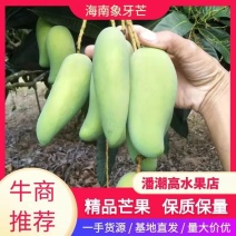 来自北纬18度°海南省-三亚市-高山象牙芒果