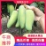 来自北纬18度°海南省-三亚市-高山象牙芒果