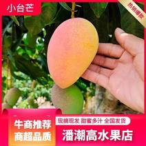 来自北纬18度°海南省三亚市产地直供小台农芒果