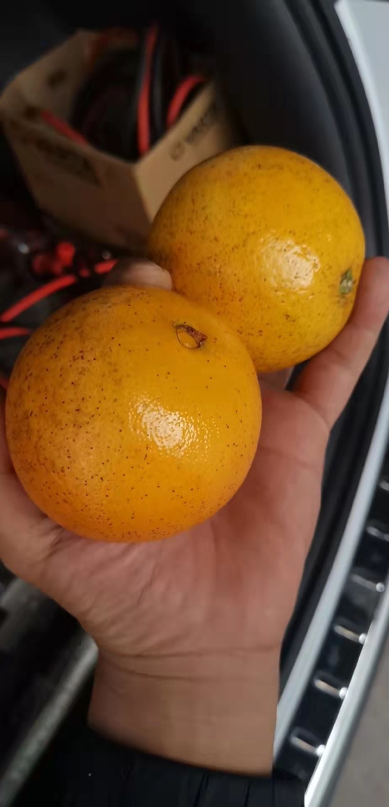 重庆开州精品脐橙口感好/价格便宜/量大质量好/产地直发