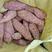 紫薯紫罗兰丘陵沙地种植供应电商超市市场产地一手货源