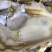 热卖三倍体生蚝乳山牡蛎大连生蚝烧烤新鲜海