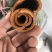 广西厚桂皮大通中通桂碎肉桂全干干净无粉末
