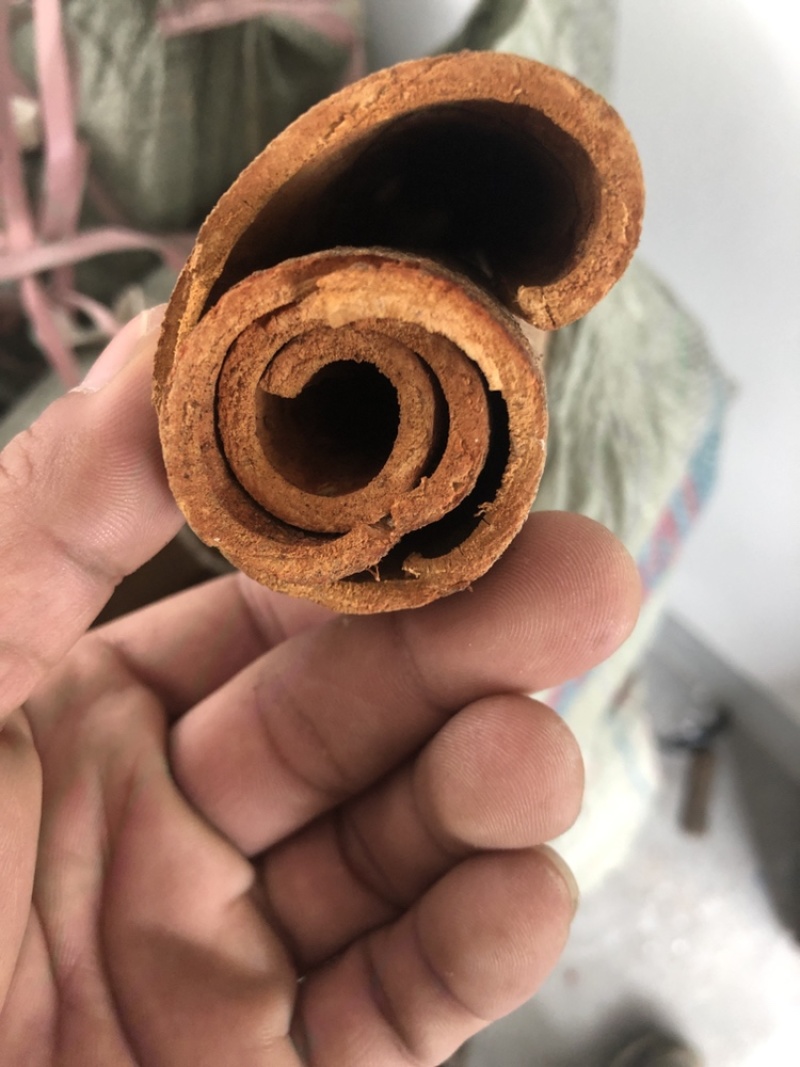 广西厚桂皮大通中通桂碎肉桂全干干净无粉末