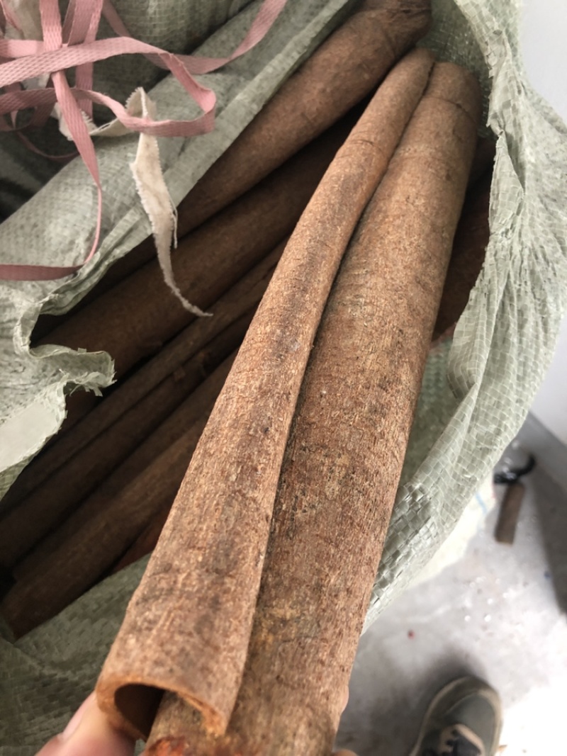 广西厚桂皮大通中通桂碎肉桂全干干净无粉末