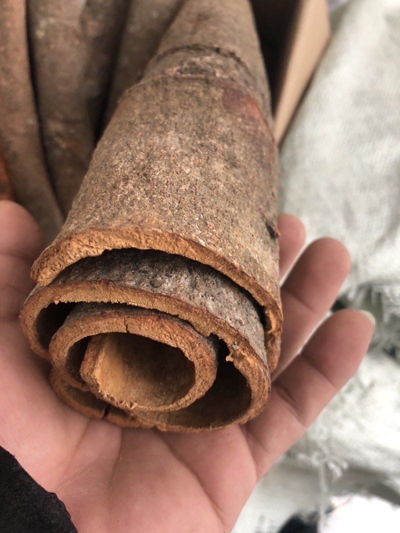 广西厚桂皮大通中通桂碎肉桂全干干净无粉末
