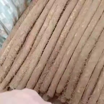 【精品】河北邯郸白玉山药一手货源规格齐全代发全国