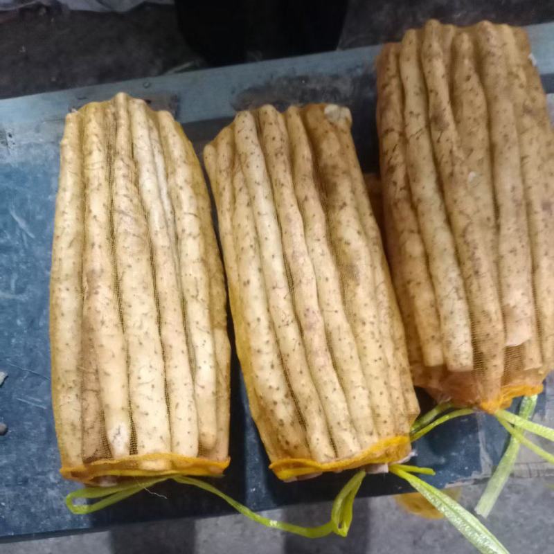 安平特产小白嘴白山药产地直销货源充足