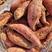 济薯26丘陵沙地种植口感香甜糯一手货源产地直销