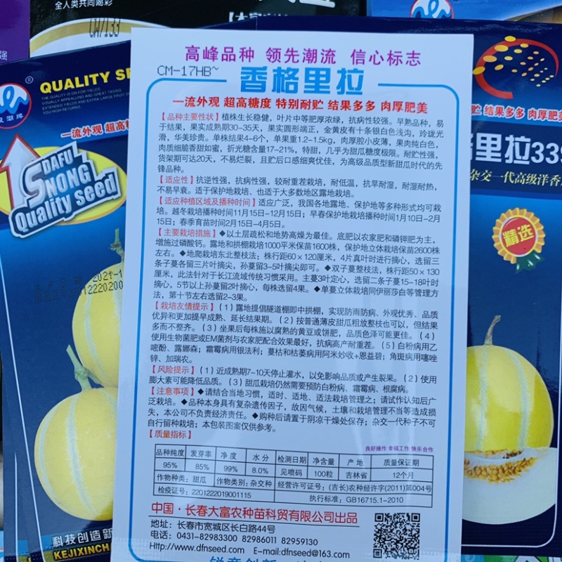 香格里拉339洋香瓜种子出口品种新型甜瓜种子特甜金黄皮