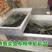 养鱼塑料方桶长方形卖鱼盆加厚水产养殖箱龟箱大号牛筋储水箱