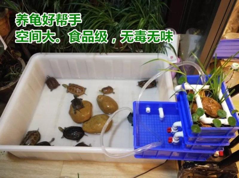 养鱼塑料方桶长方形卖鱼盆加厚水产养殖箱龟箱大号牛筋储水箱