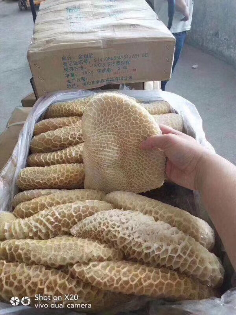 金钱肚