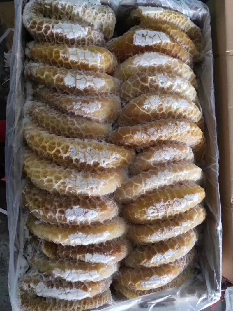 金钱肚