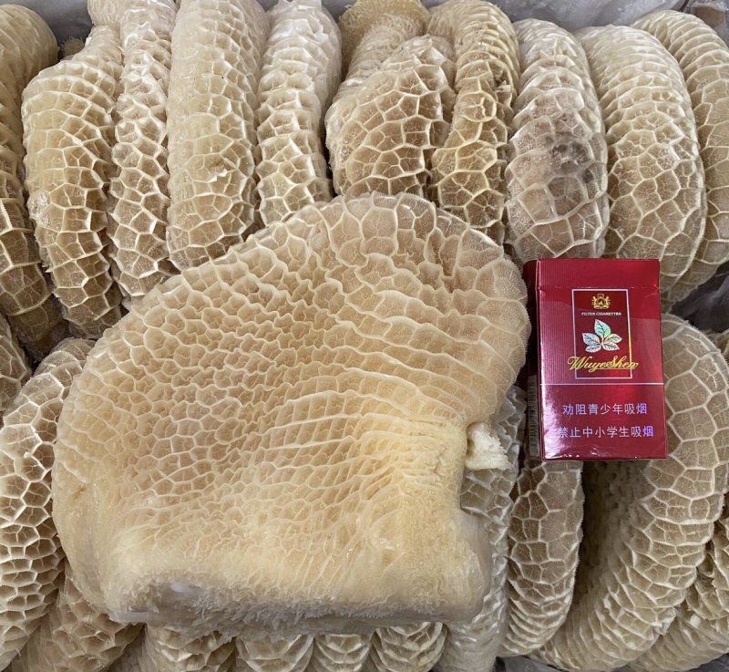 金钱肚