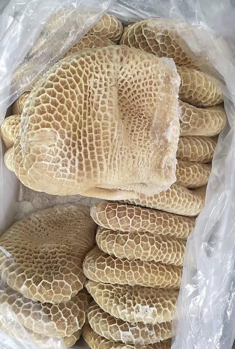 金钱肚
