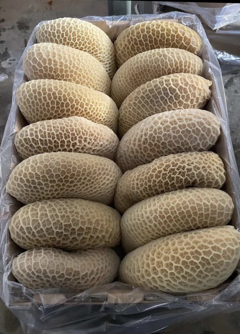 金钱肚