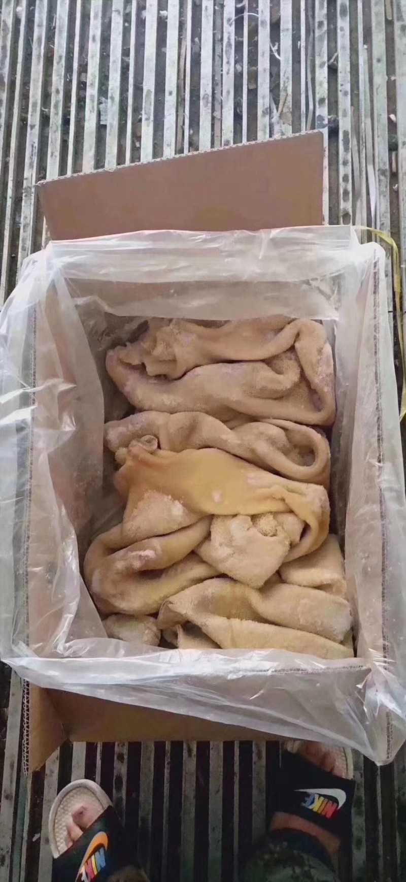 牛肚