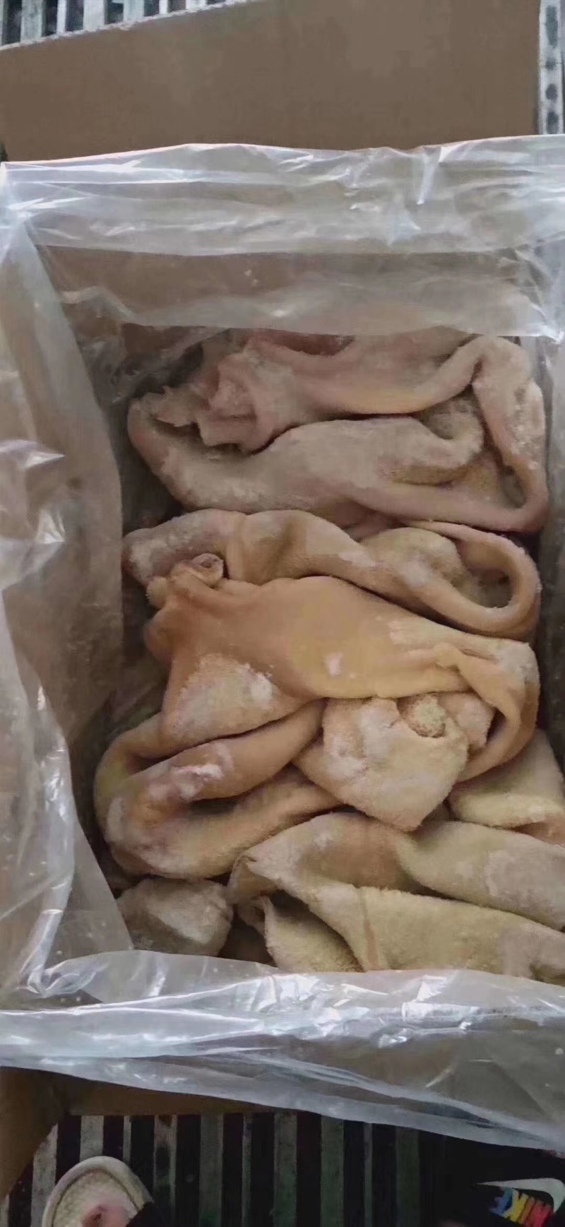 牛肚