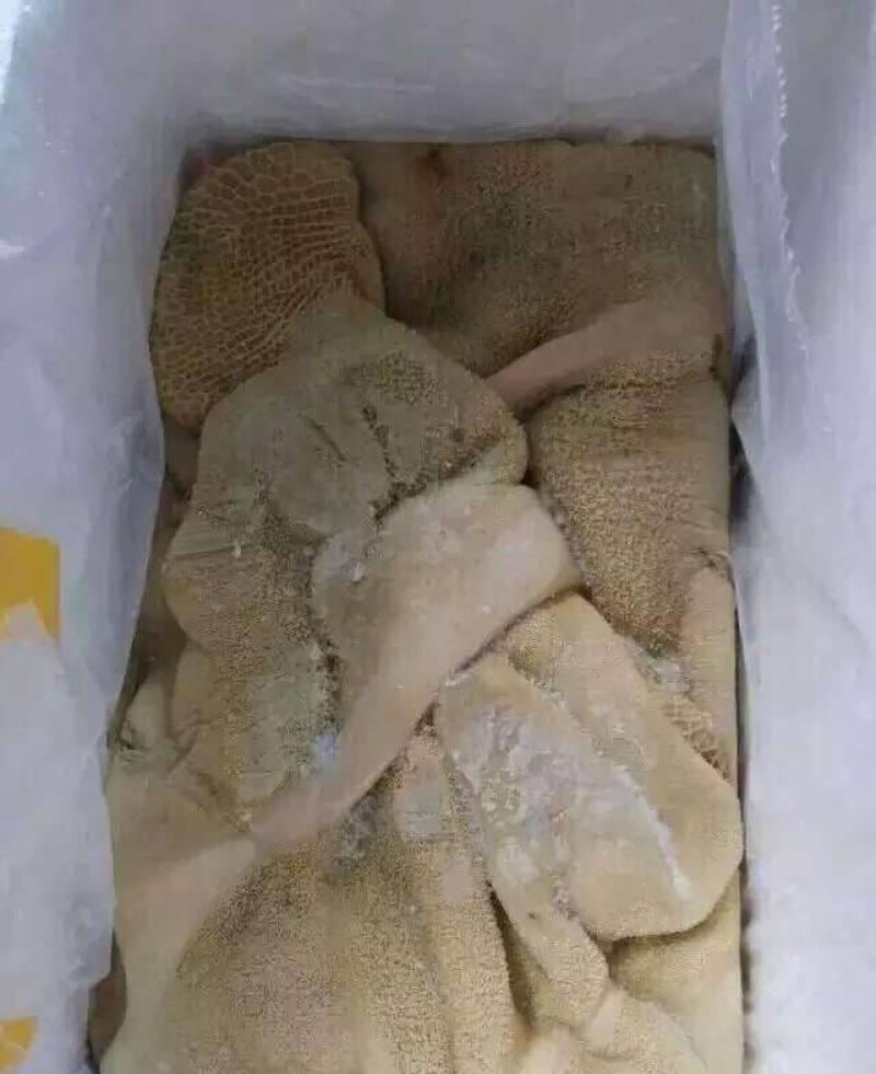 牛肚