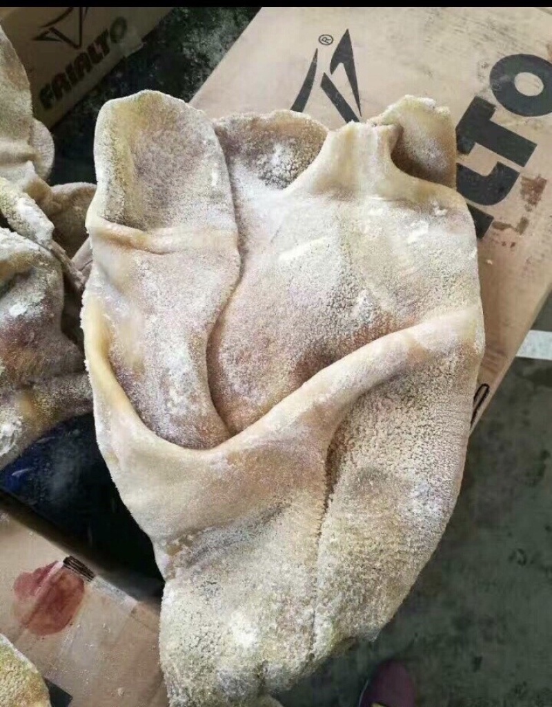 牛肚