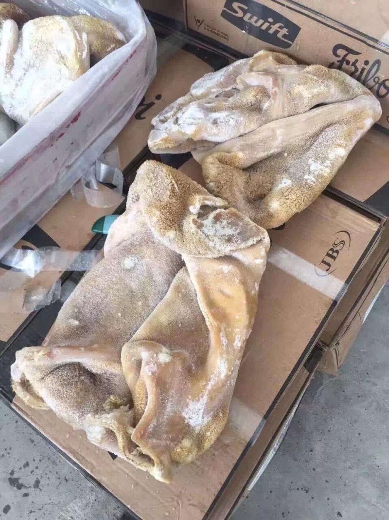 牛肚