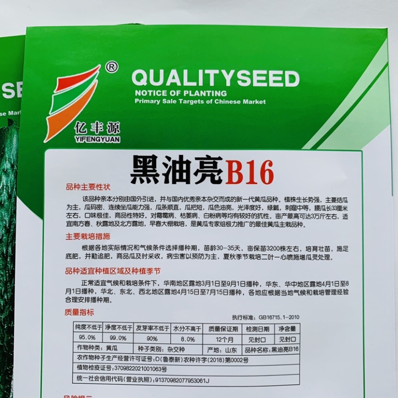 绿瓤抗病高产黄瓜种子黑油亮B16国外引进新一代黄瓜种子