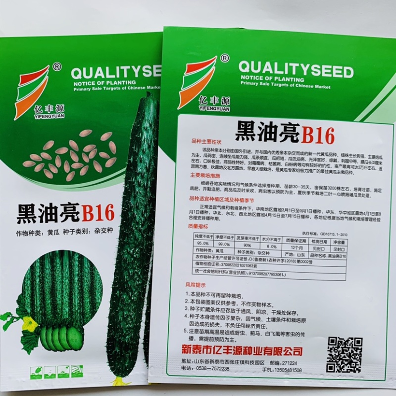 绿瓤抗病高产黄瓜种子黑油亮B16国外引进新一代黄瓜种子