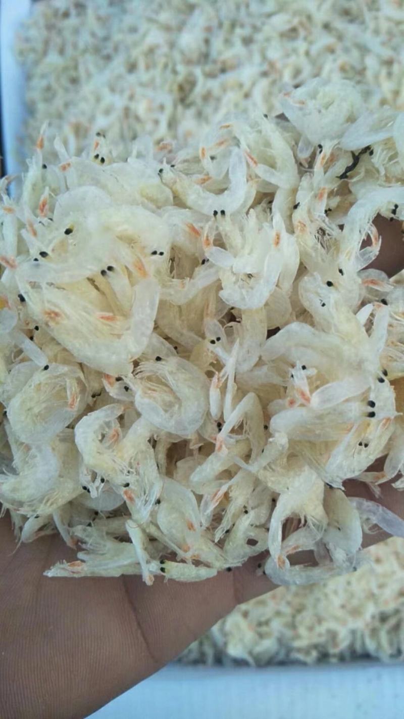 优质无盐虾皮