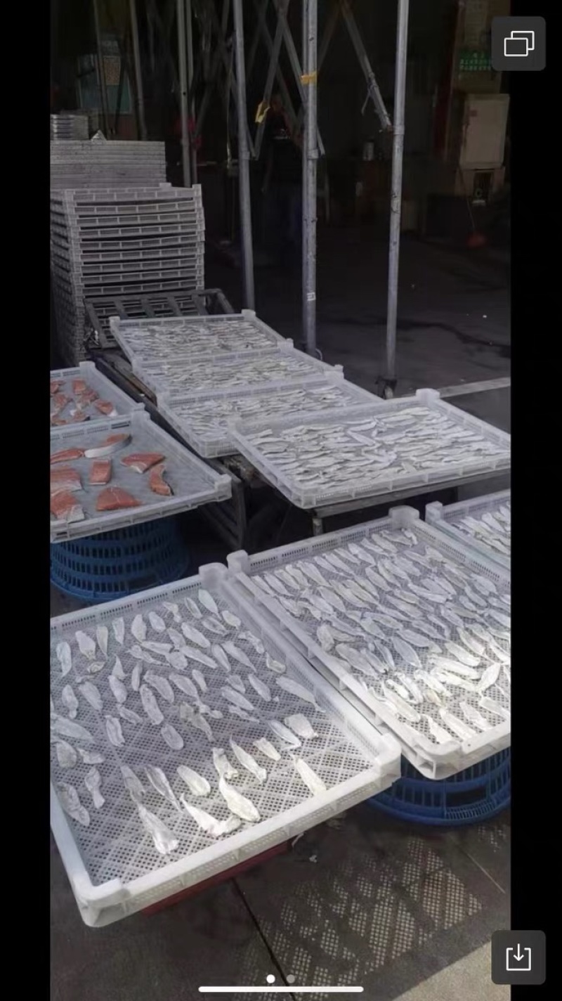塑料烘干盘风干食品晾晒盘单冻器海鲜产品冷冻盘烘干托盘晒筛