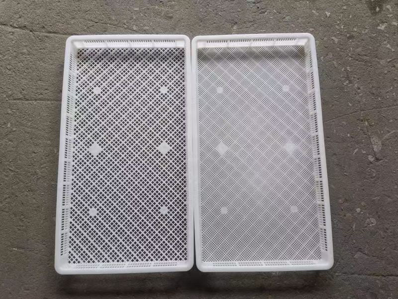 塑料烘干盘风干食品晾晒盘单冻器海鲜产品冷冻盘烘干托盘晒筛