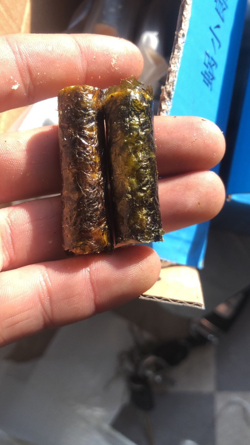 海苔卷。独立包装。11元一斤。量大从优