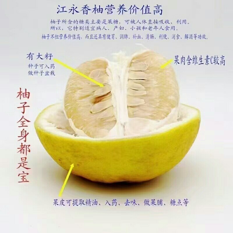 湖南江永正宗老树沙田柚，皮薄肉厚，多汁，糖份高，水份足。