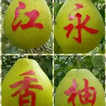 湖南江永正宗老树沙田柚，皮薄多汁，糖份高。