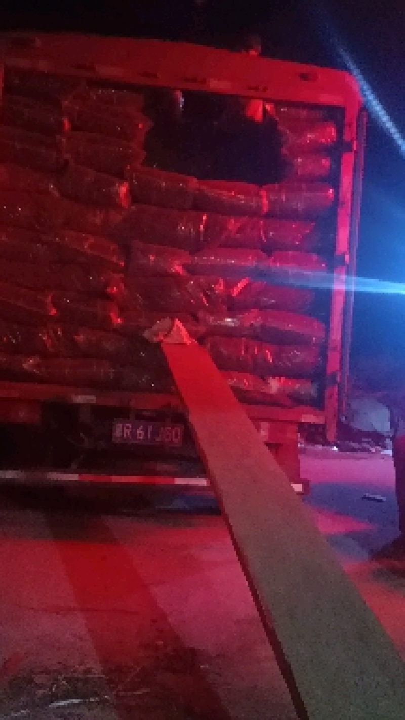 【优质】陕西省汉中市洋县干豆角有精品统货差货三选量大从优