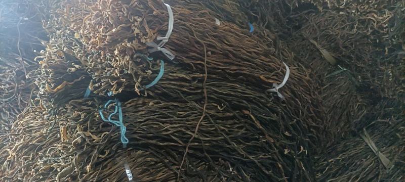 【优质】陕西省汉中市洋县干豆角有精品统货差货三选量大从优