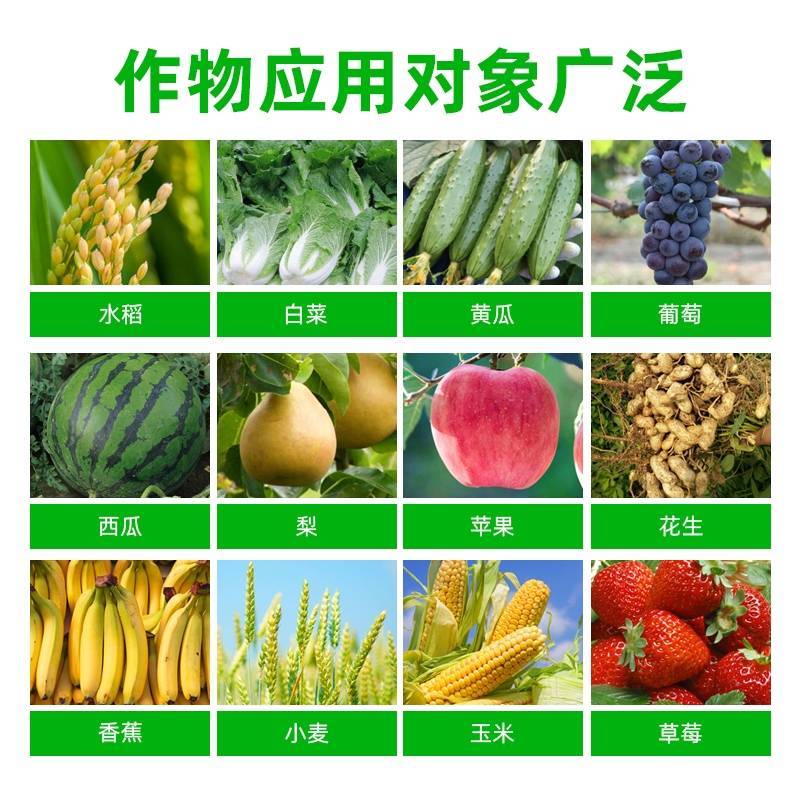 塞呋戊唑醇杀菌剂原厂原证水稻纹枯病，稻曲病，叶斑病，白粉