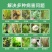 塞呋戊唑醇杀菌剂原厂原证水稻纹枯病，稻曲病，叶斑病，白粉