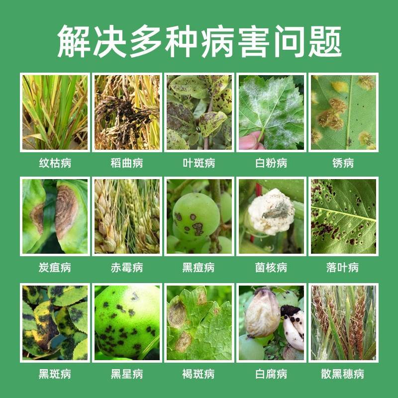 塞呋戊唑醇杀菌剂原厂原证水稻纹枯病，稻曲病，叶斑病，白粉