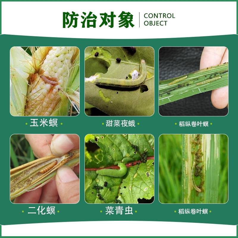 甲维茚虫威原厂原证稻丛卷叶螟，钻心虫，大豆青虫，玉米螟虫