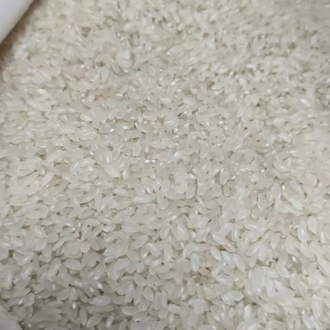 我是黑龙江庆安食品公司，主要生产小长粒香、长粒香、稻花香