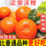 广西武鸣沃柑蜜橘子新鲜水果桔子应季果蔬现采现发