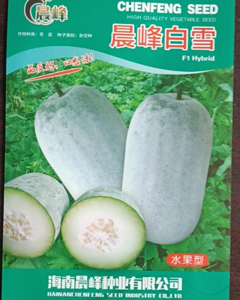 晨峰白雪水果冬瓜杂交品种品质保证厂家发货