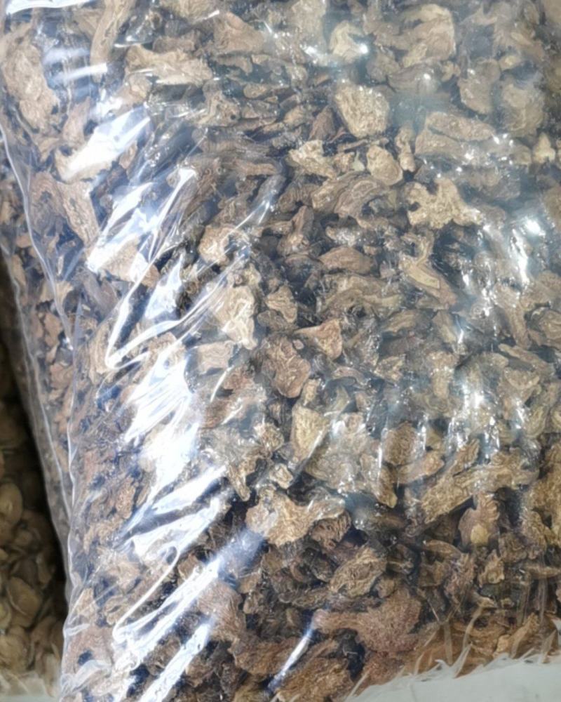 长白山本地区野生蒲公英根，一袋10斤，10起超低价