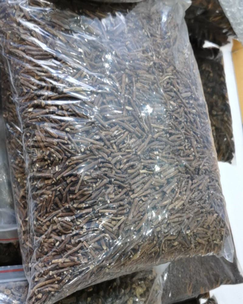 长白山本地区野生蒲公英根，一袋10斤，10起超低价