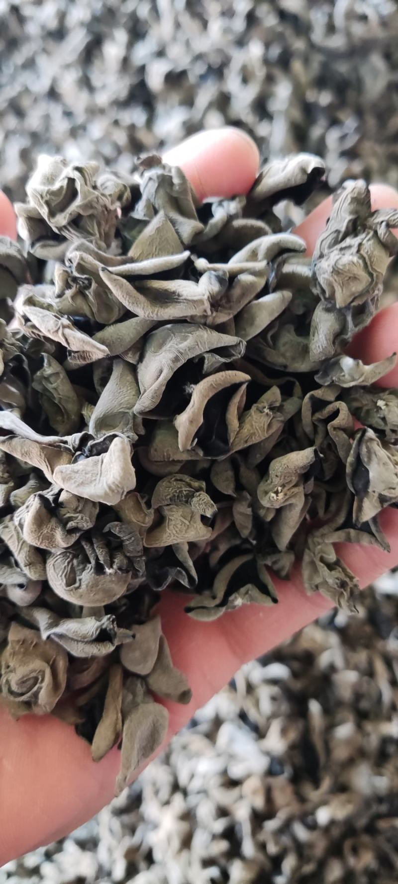 东北木耳东北小碗耳，黑厚秋木耳口感好