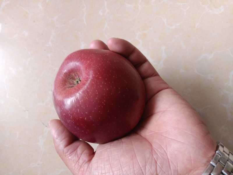 苹果红苹果大果小果