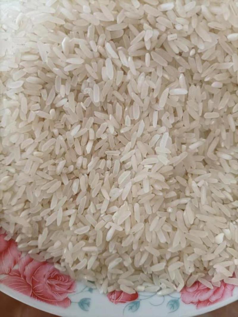 籼米油粘米50斤单位学校单位饭堂米批发25kg厂家直批