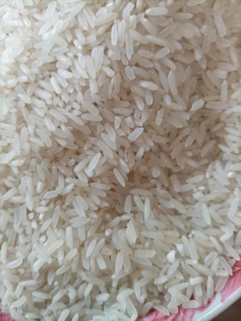 籼米油粘米50斤单位学校单位饭堂米批发25kg厂家直批